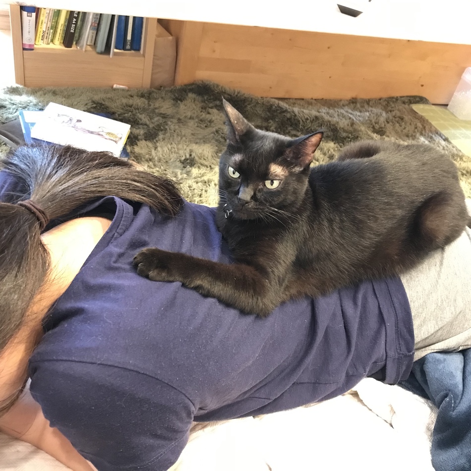 おはぎのカバー写真