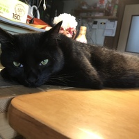 ネオ