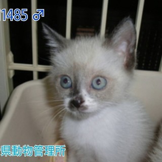 里親様決定しました！