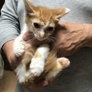入園ニャン♫きっと今度こそ今期最後(^^;;