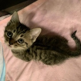 ✩幸せな未来を待ち望んでいます！