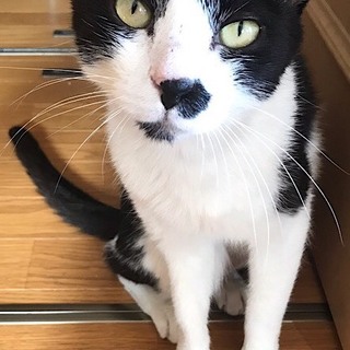 優しい優しい白黒３才リーさん！