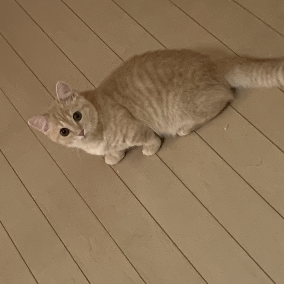 まるのカバー写真