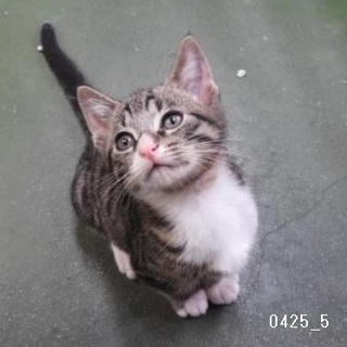 小っちゃかった僕も今はわんぱく小僧