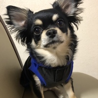 バロン