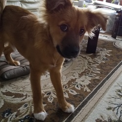 「生誕　半年！」サムネイル2