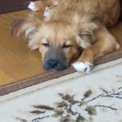 「生誕　半年！」サムネイル3