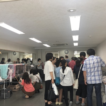 第16回ねこの譲渡会