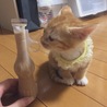 今は同じくらいの大きさ