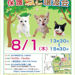 さいたま市 大宮区第二公園「保護ネコ譲渡会」開催　13時30分～