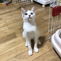 とても人馴れしている元気な男の子