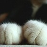 ・・＊ともこ＊・・
