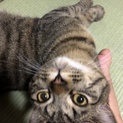 お願いします。
