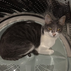 お洗濯…出来ませんΣ（・□・；）