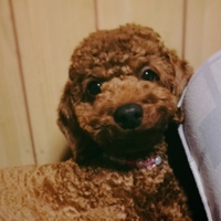 モコちん♡.*゜