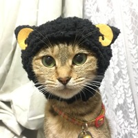 チビ