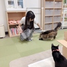 Sasaki riho