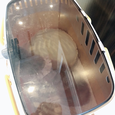 はじめての病院。暴れています