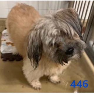 引き出されました。