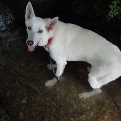 「どこもかしこも暑いので。。。。」サムネイル1