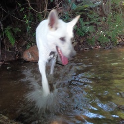 「どこもかしこも暑いので。。。。」サムネイル2