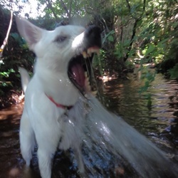 「どこもかしこも暑いので。。。。」サムネイル3