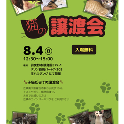 猫の譲渡会