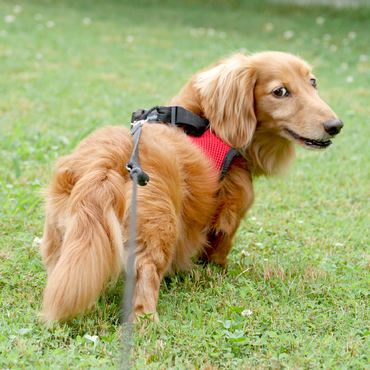 金曜日さん、来るのが遅いんじゃないですか？