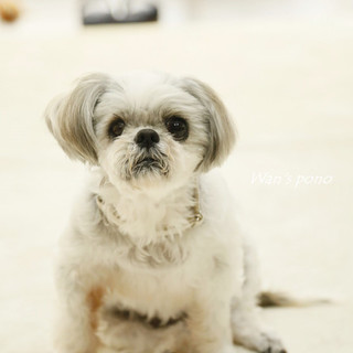 良いご縁につながりました。