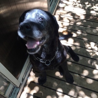 美人熟女のデライラ