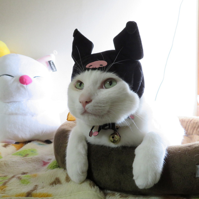 くろんのカバー写真