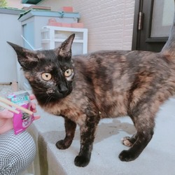 大口町元気なまちづくり事業　第２１回譲渡会