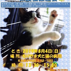 もりやま犬と猫の病院 保護猫譲渡会 サムネイル1