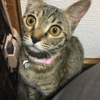 みい