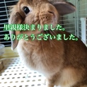 里親様が決まりました。