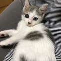 すぐに仲良くなれちゃう男の子