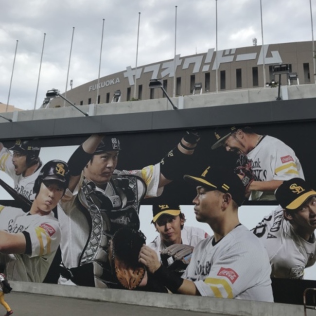 タバルハリーのカバー写真