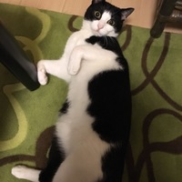 りん