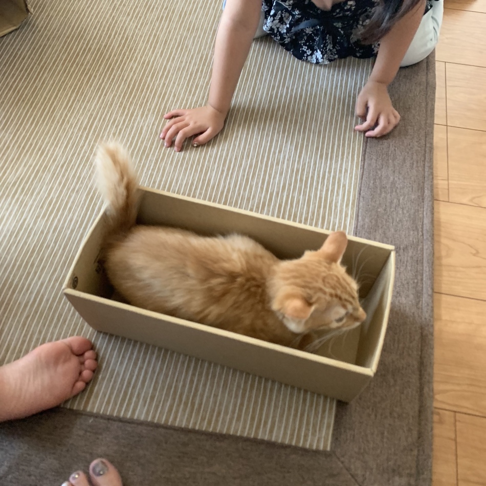 れおのカバー写真