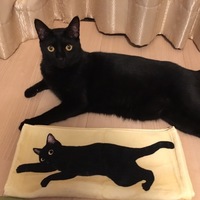 しお