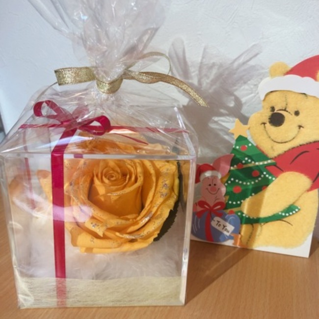 みづきまるのカバー写真