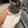 まあやん63