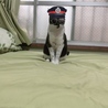 かっこよ