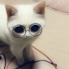 小顔が超小顔