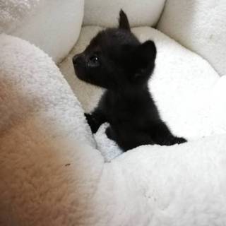 ３７６gの赤ちゃん