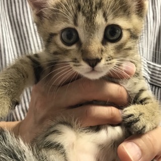 ハンデがあってもマイペースな僕ちゃん「たから」くん