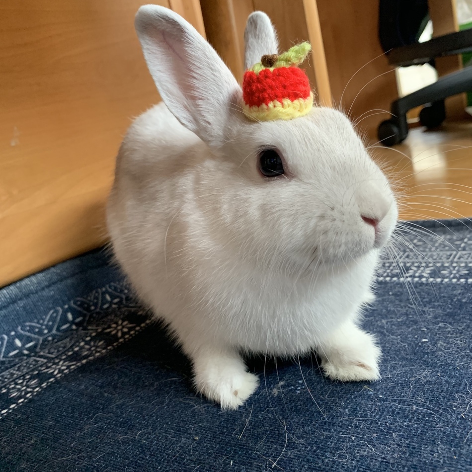 紬のカバー写真