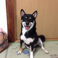 ナツ