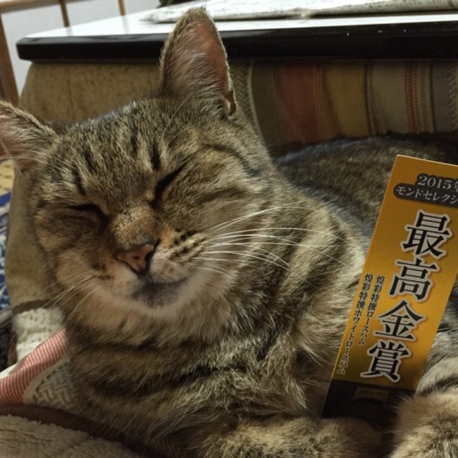 みゆコロのカバー写真