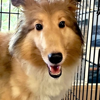 個体識別番号：W508　美形の女の子